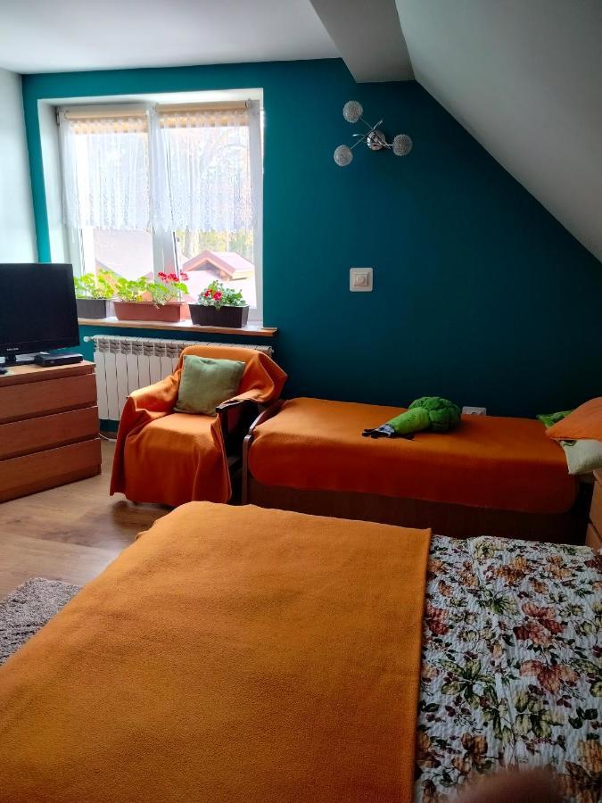 Zgorzanka Villa Istebna Kültér fotó