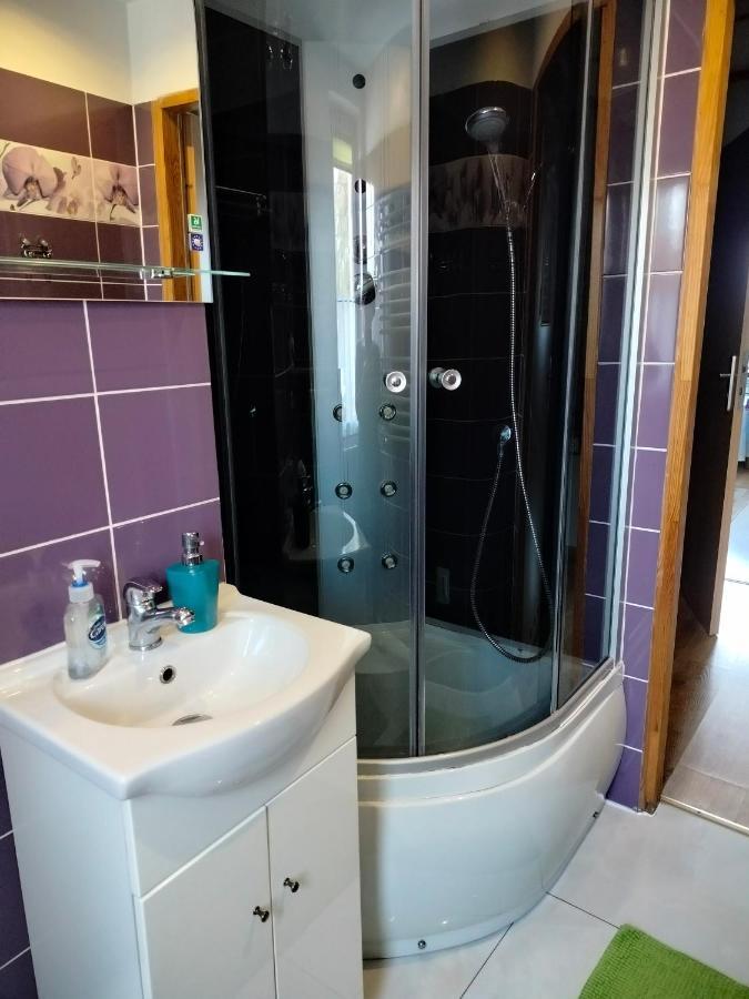Zgorzanka Villa Istebna Kültér fotó